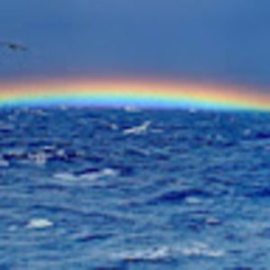 Meet your Posher, Taylor c